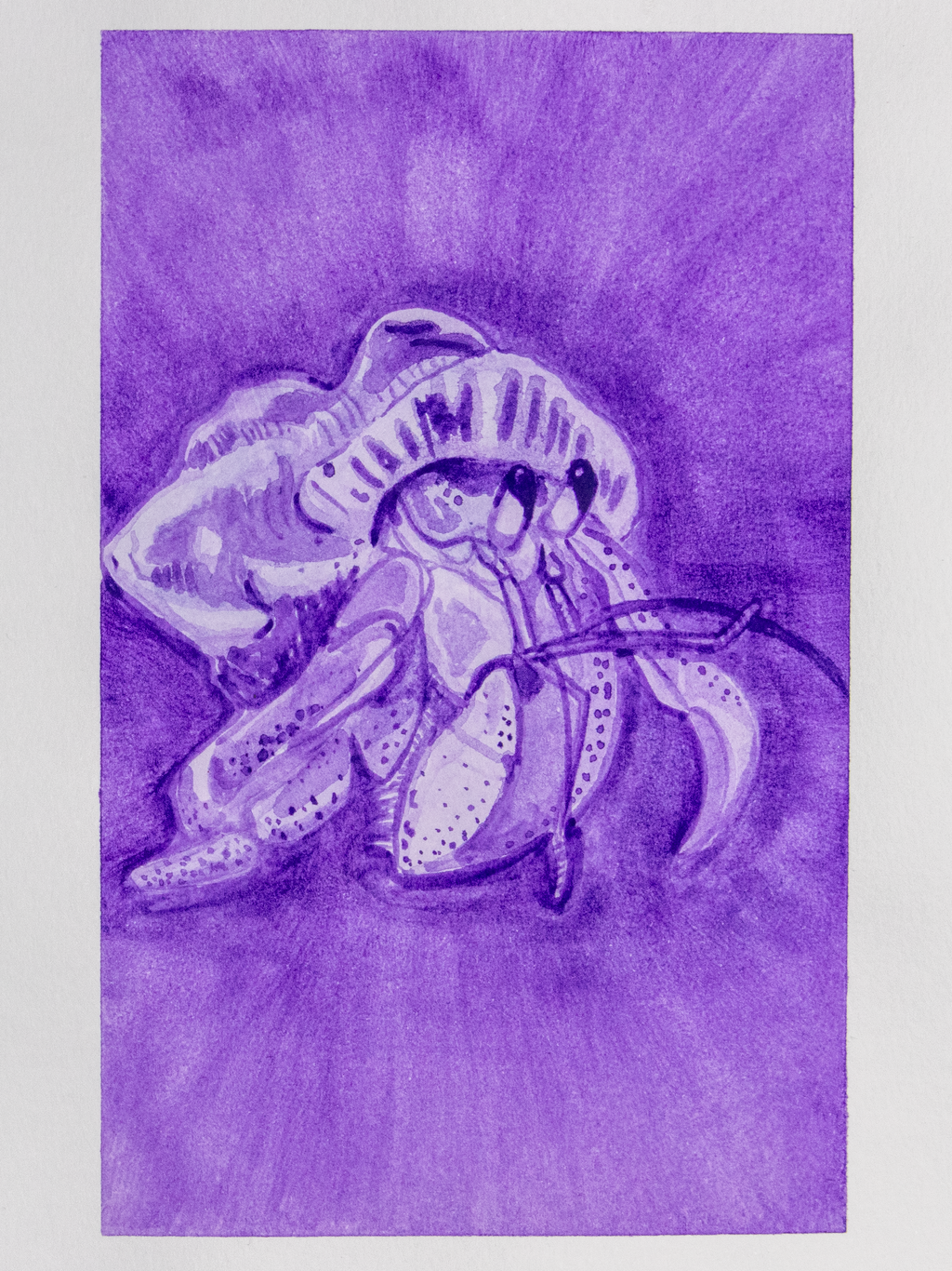 Hermit Crab Mini Print Postcard
