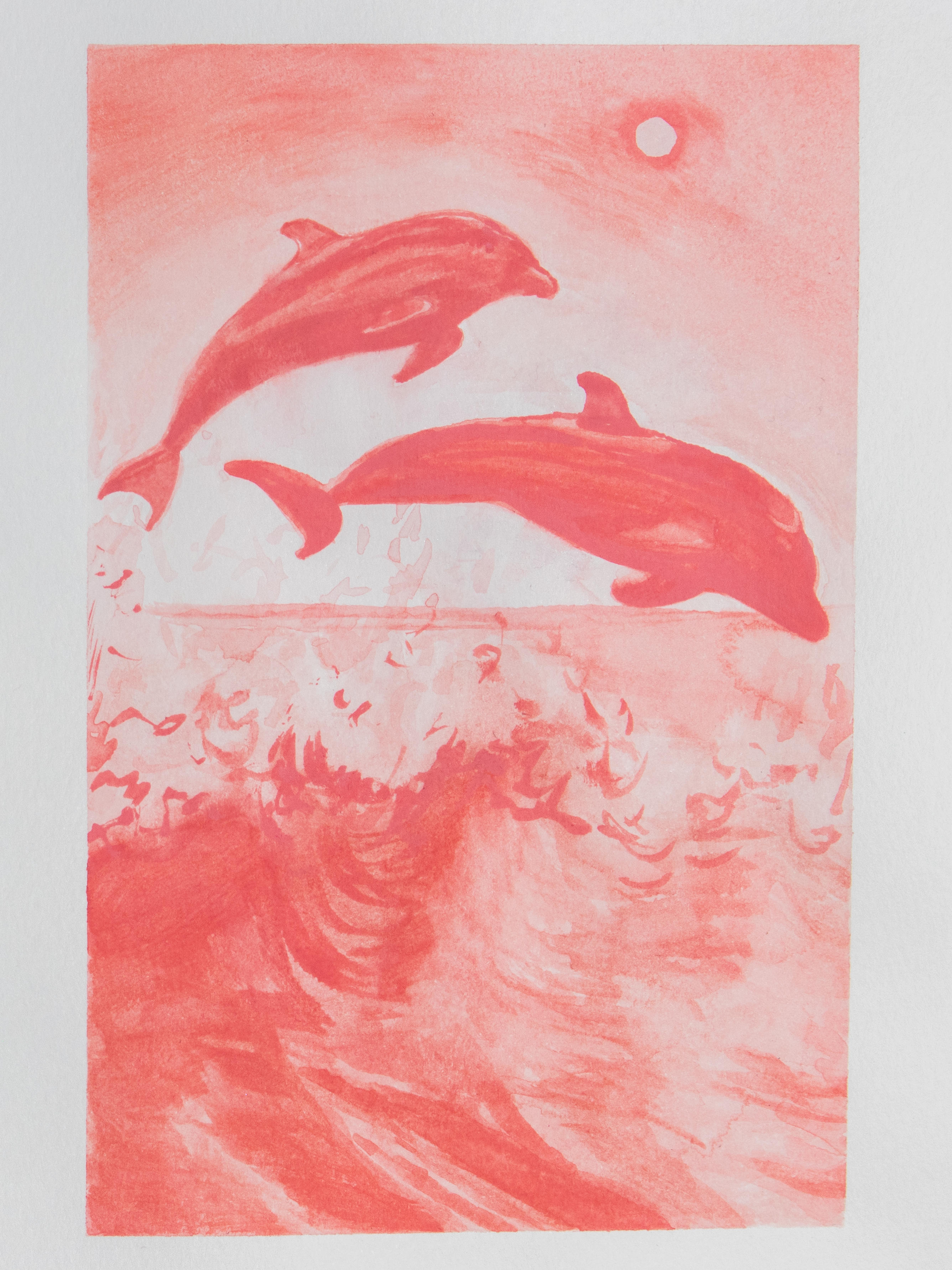 Dolphins Mini Print Postcard