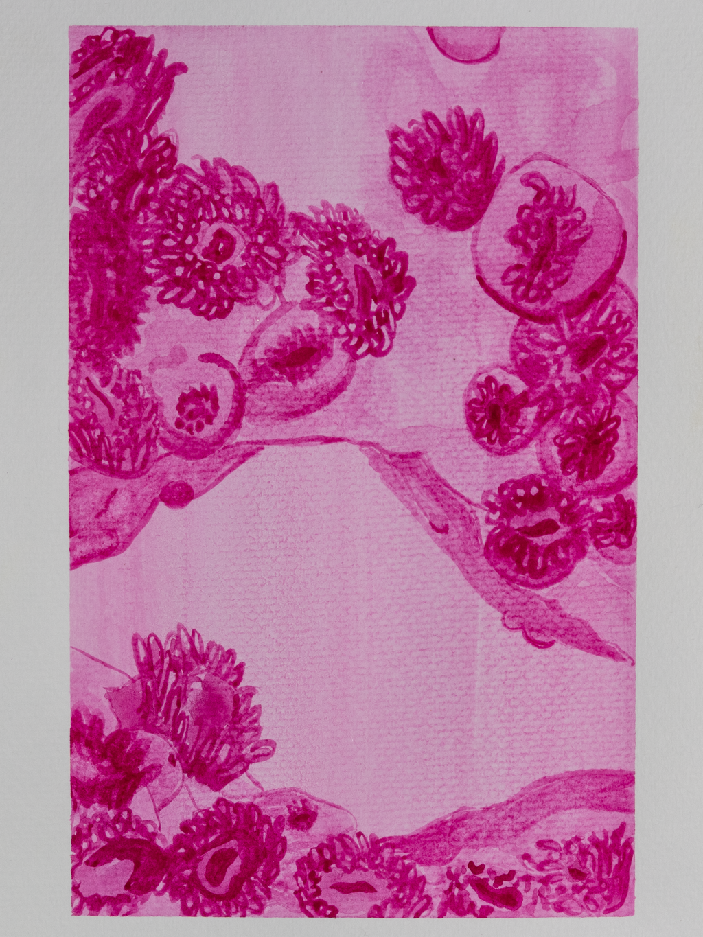 Sea Anemone Mini Print Postcard