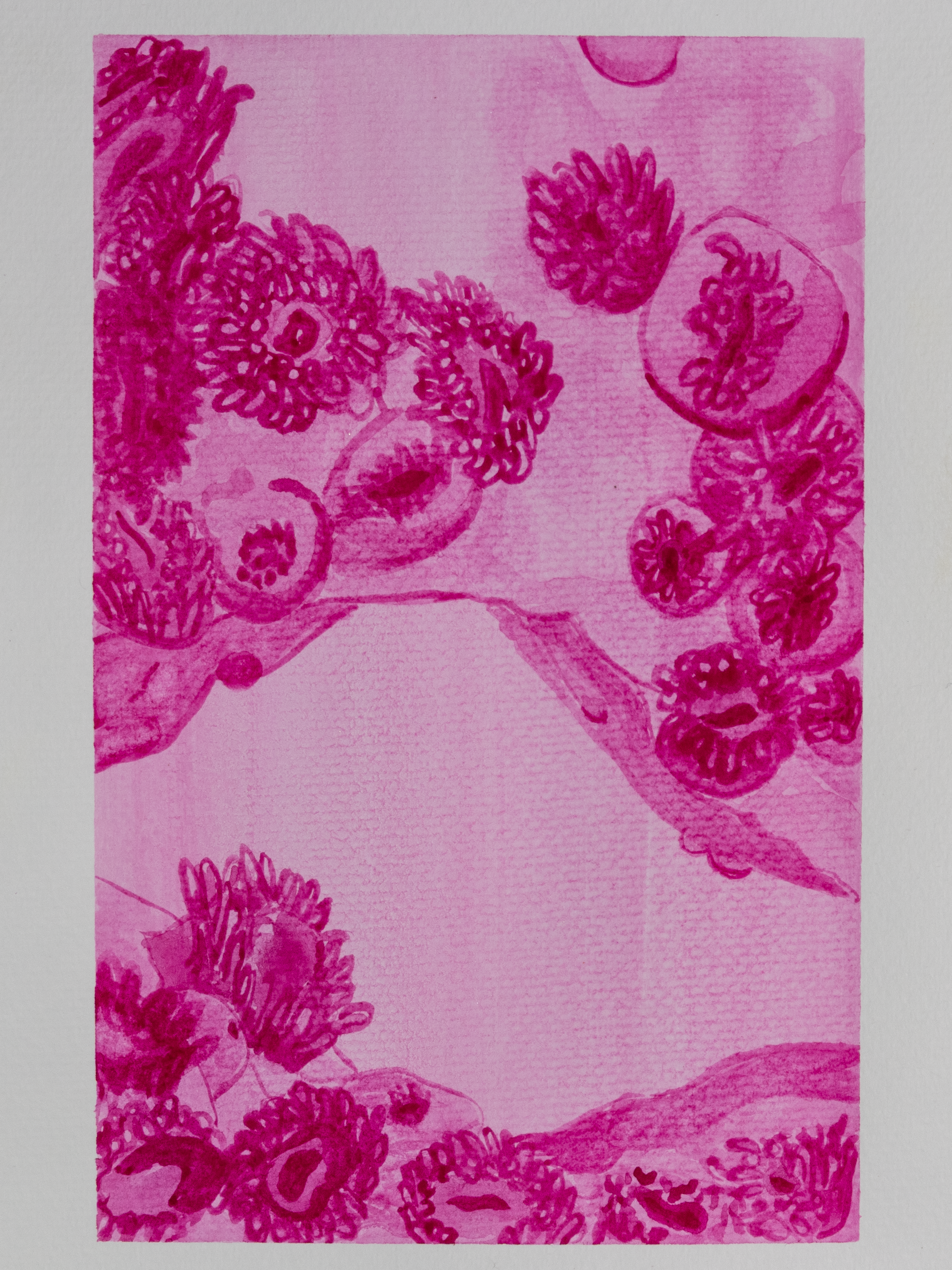 Sea Anemone Mini Print Postcard