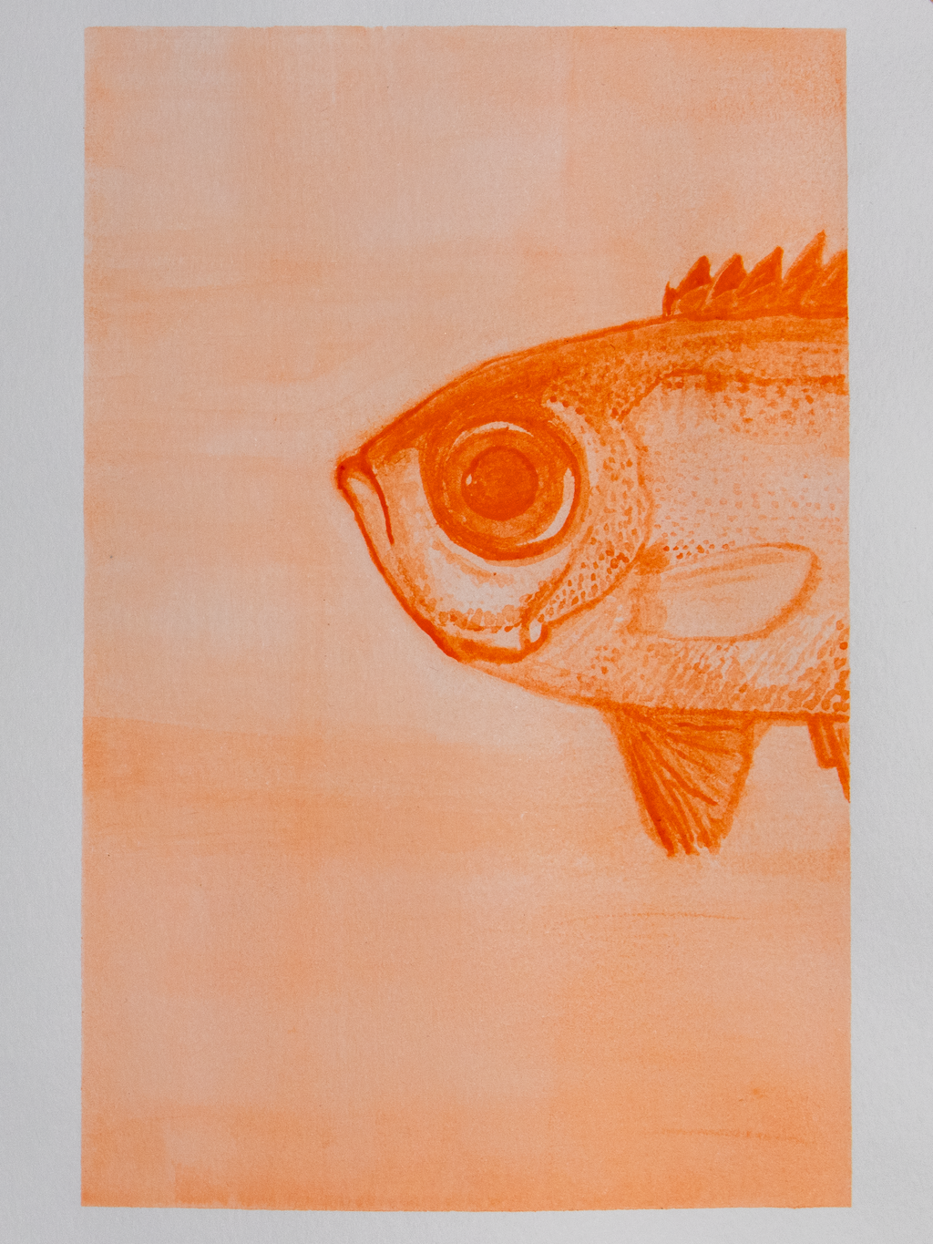 Glasseye Fish Mini Print Postcard