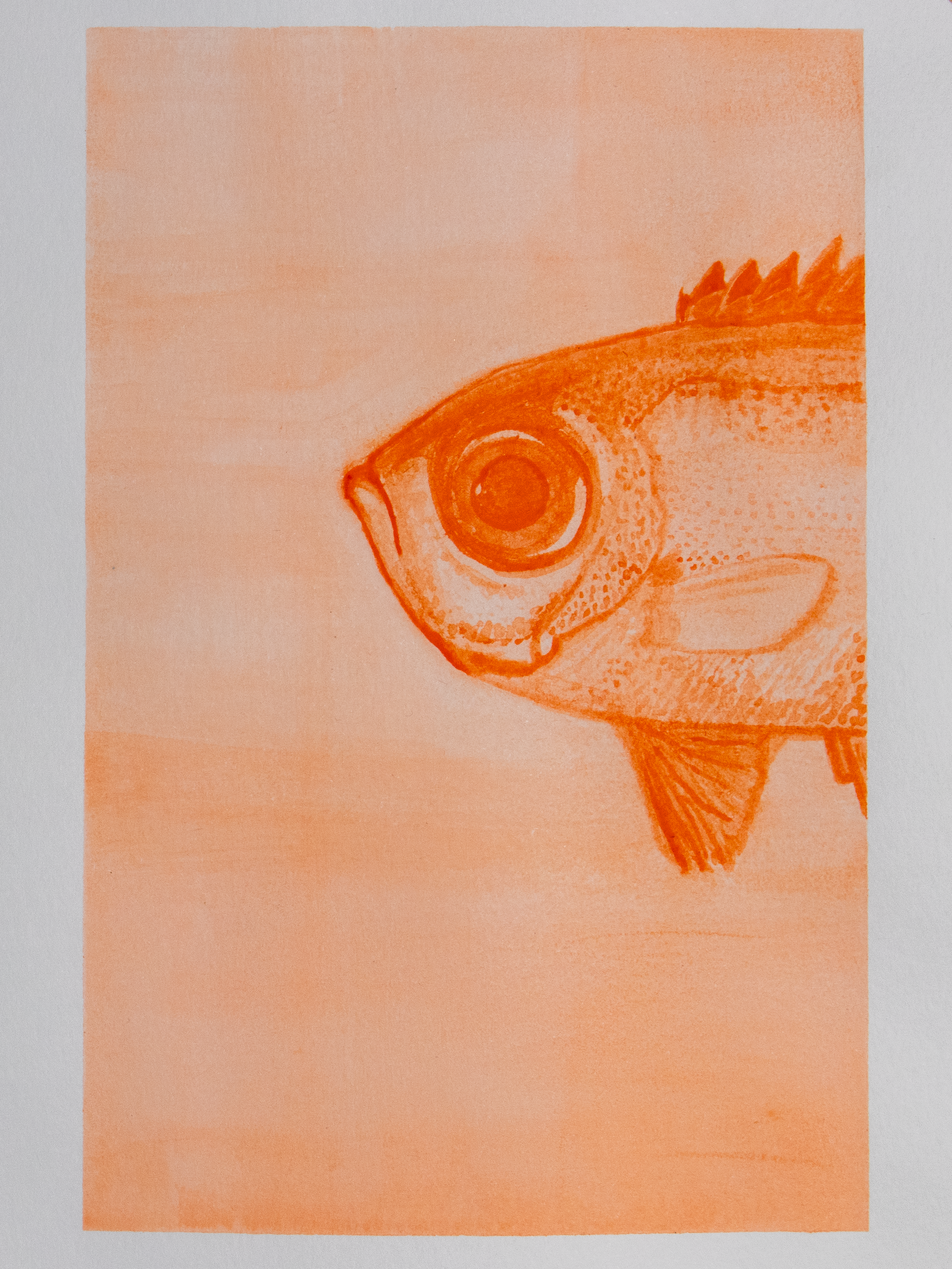 Glasseye Fish Mini Print Postcard