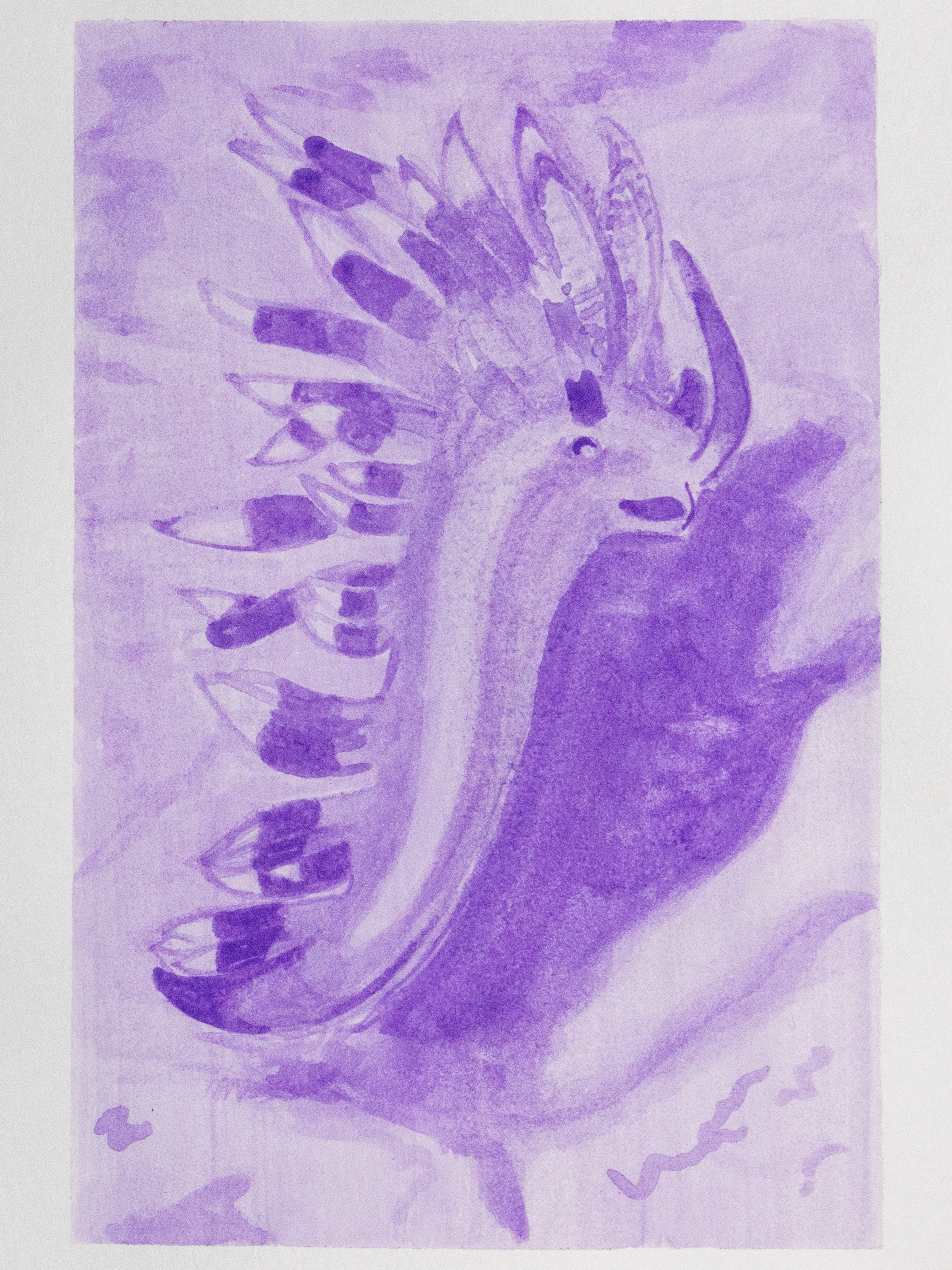 Haunted Nudibranch Mini Print Postcard