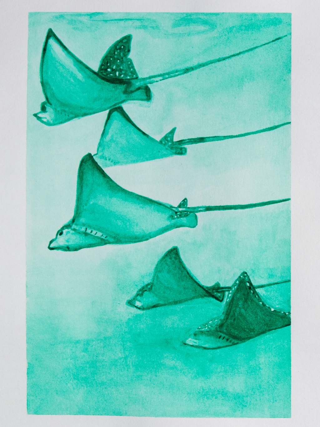 Spotted Eagle Ray Mini Print Postcard